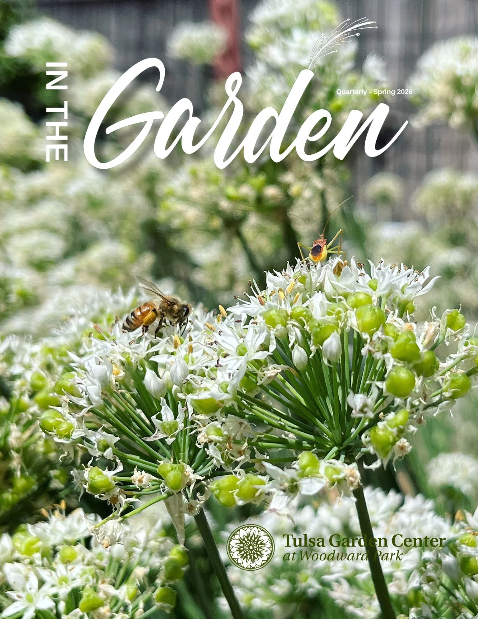 夏SALE✨シトリン　ガーデン共生　タワー　ポイント　11,800→ In The Garden
